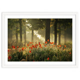 The poppy forest thumbnail