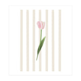 Single Tulip (Print Only) thumbnail