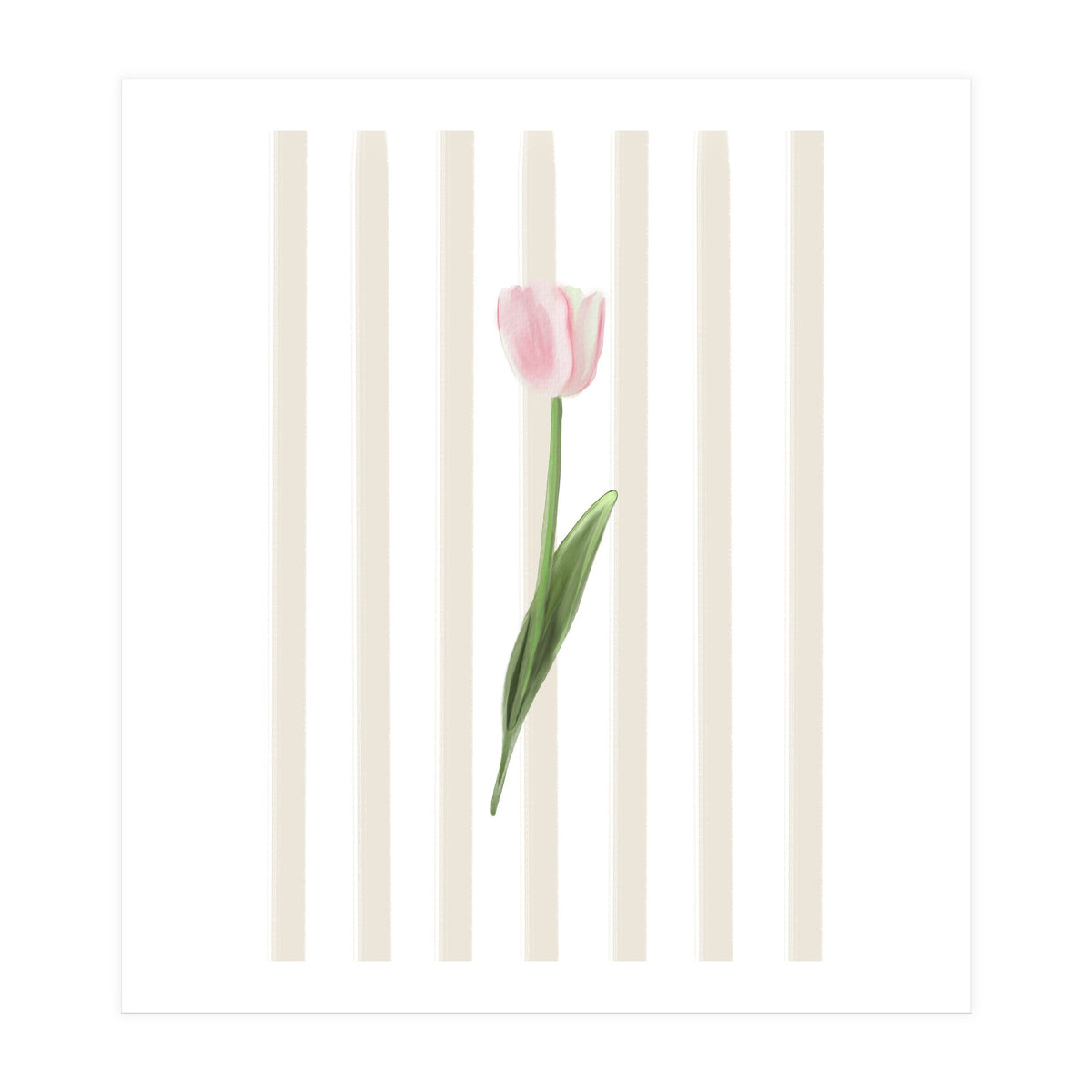 Single Tulip (Print Only)