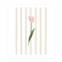 Single Tulip (Print Only)