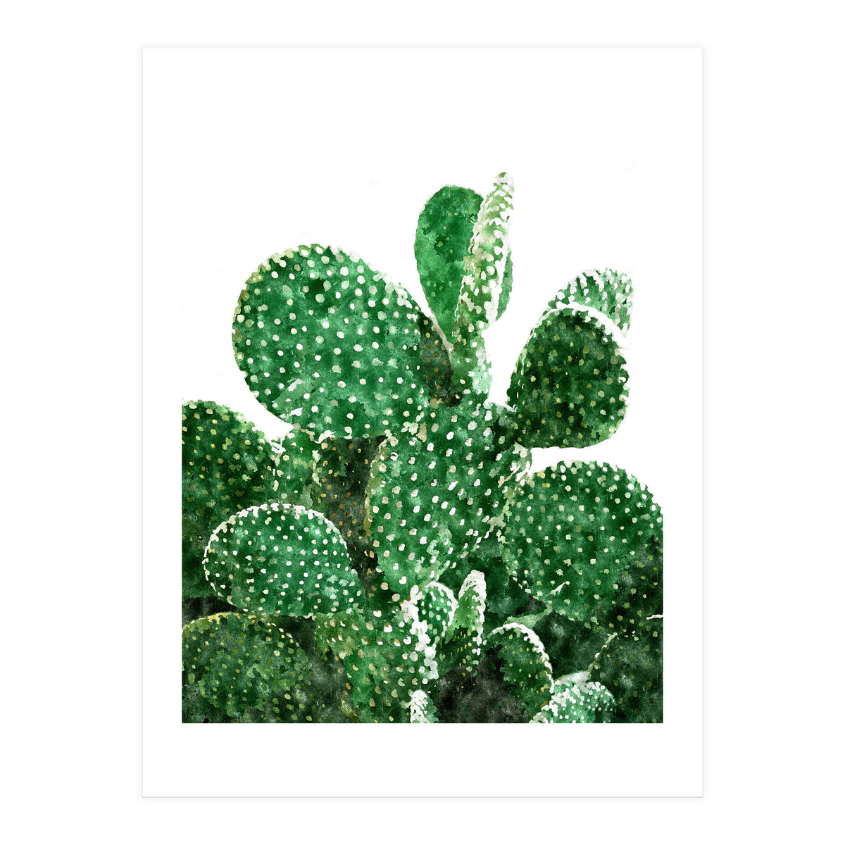 Velvet Cactus | Watercolor Botanical Plants | Minimal Boho Scandinavian Painting (Print Only)