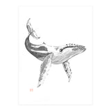 Whale (Print Only) thumbnail