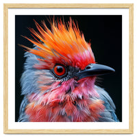 Close Up Of Exotic Bird With Vibrant Plumage