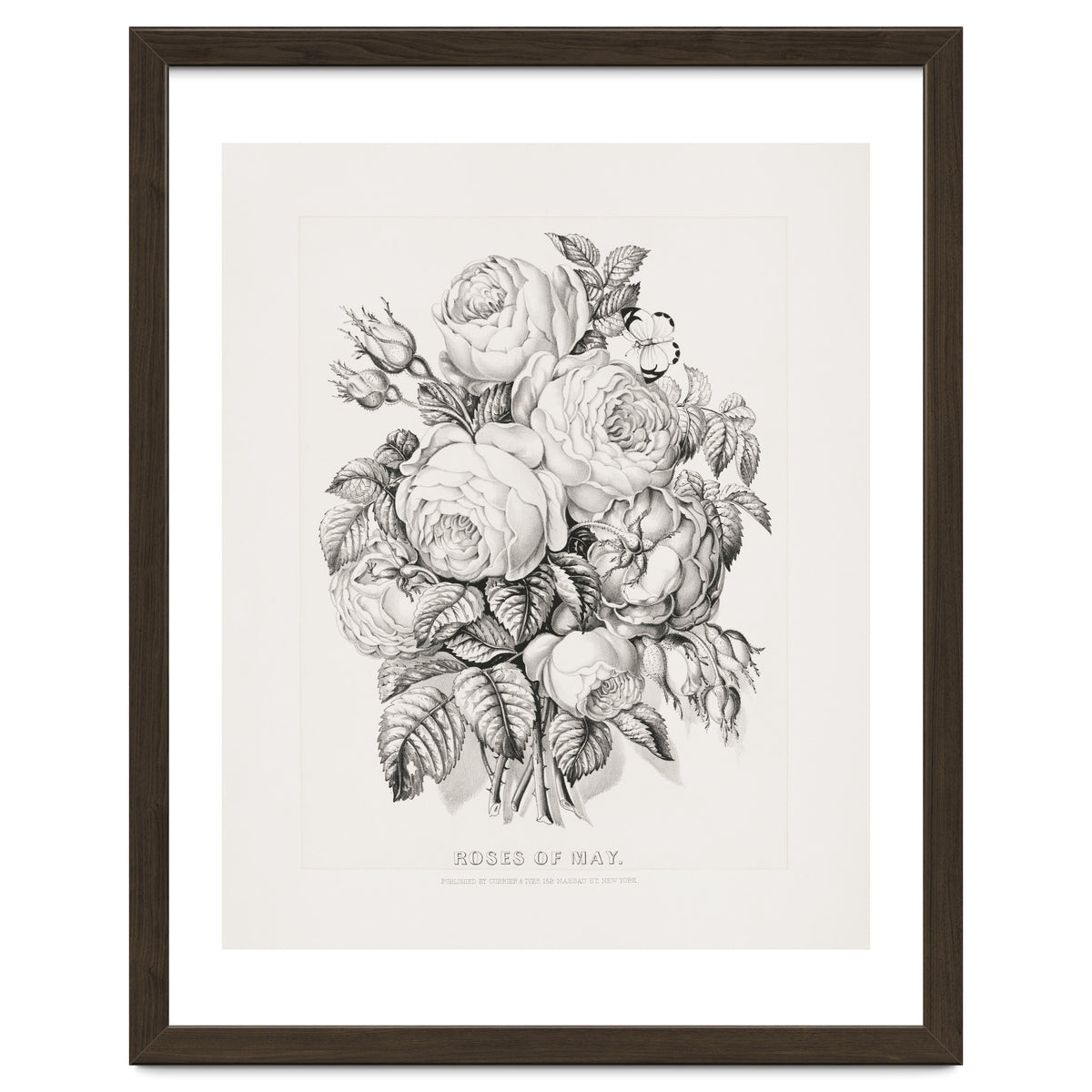 Currier & Ives – Rose of May (1870)