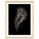 Leaves No 9 thumbnail