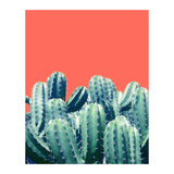 Cactus On Coral (Print Only) thumbnail