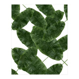Banana Leaves V2 (Print Only) thumbnail