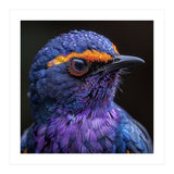 Close Up Portrait Of A Vibrant Exotic Bird (Print Only) thumbnail