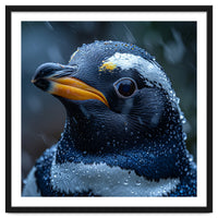 Macro view of a Penguin with Water Droplets