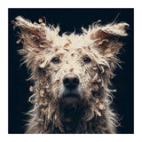 Old Dog 06 (Print Only) thumbnail