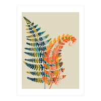 Colorful Fern Leaves (Print Only)