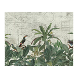 Explore The New World (Print Only) thumbnail