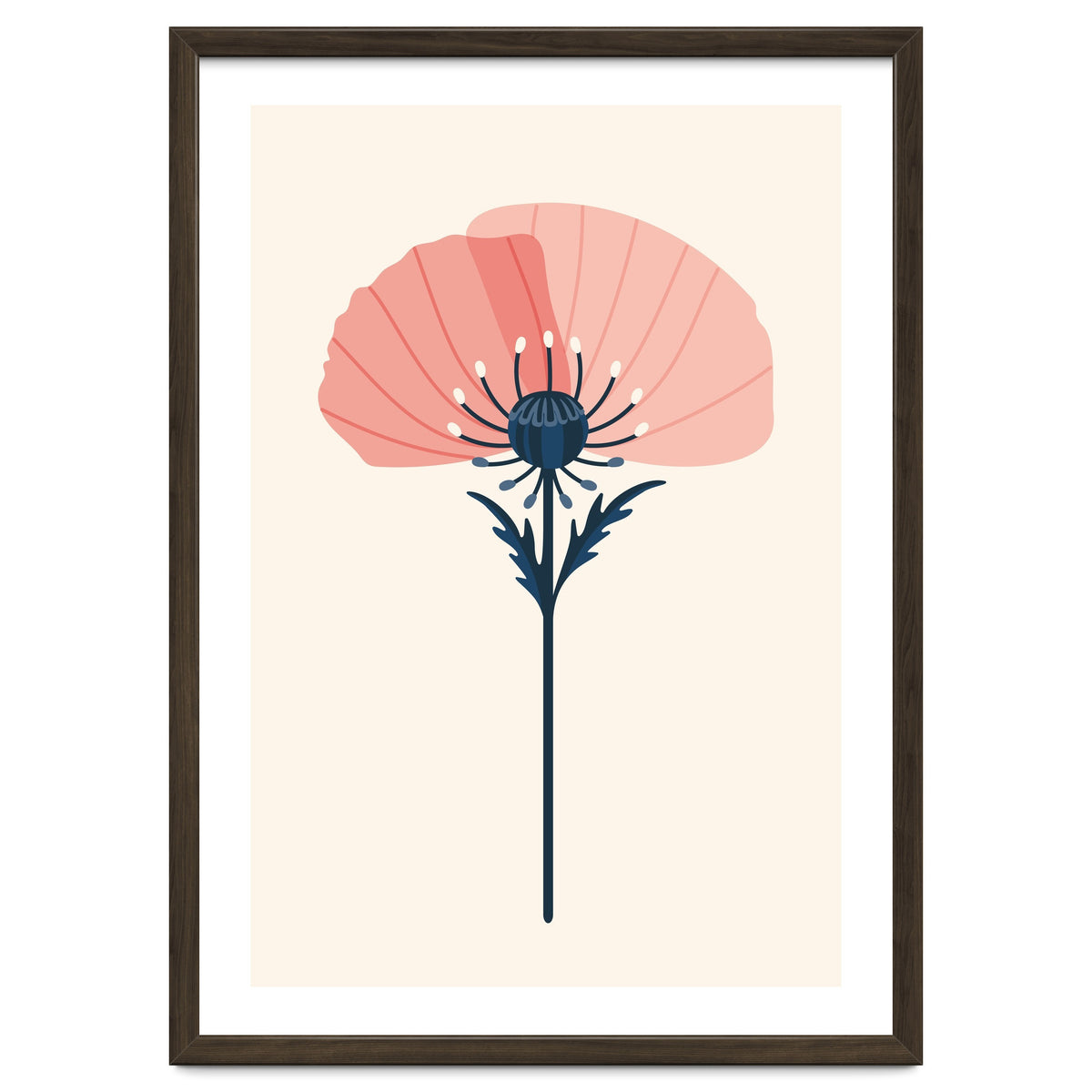 Pink Half Poppy