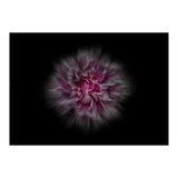 Backyard Flowers No 116 Color Flow Version (Print Only) thumbnail