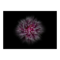 Backyard Flowers No 116 Color Flow Version (Print Only)