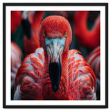 Close Up Flamingo Head With Bright Red Feathers thumbnail