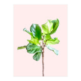 Intimate Energy, Blush Pastel Botanical Plant Minimal Painting, Pink Green Nature (Print Only) thumbnail