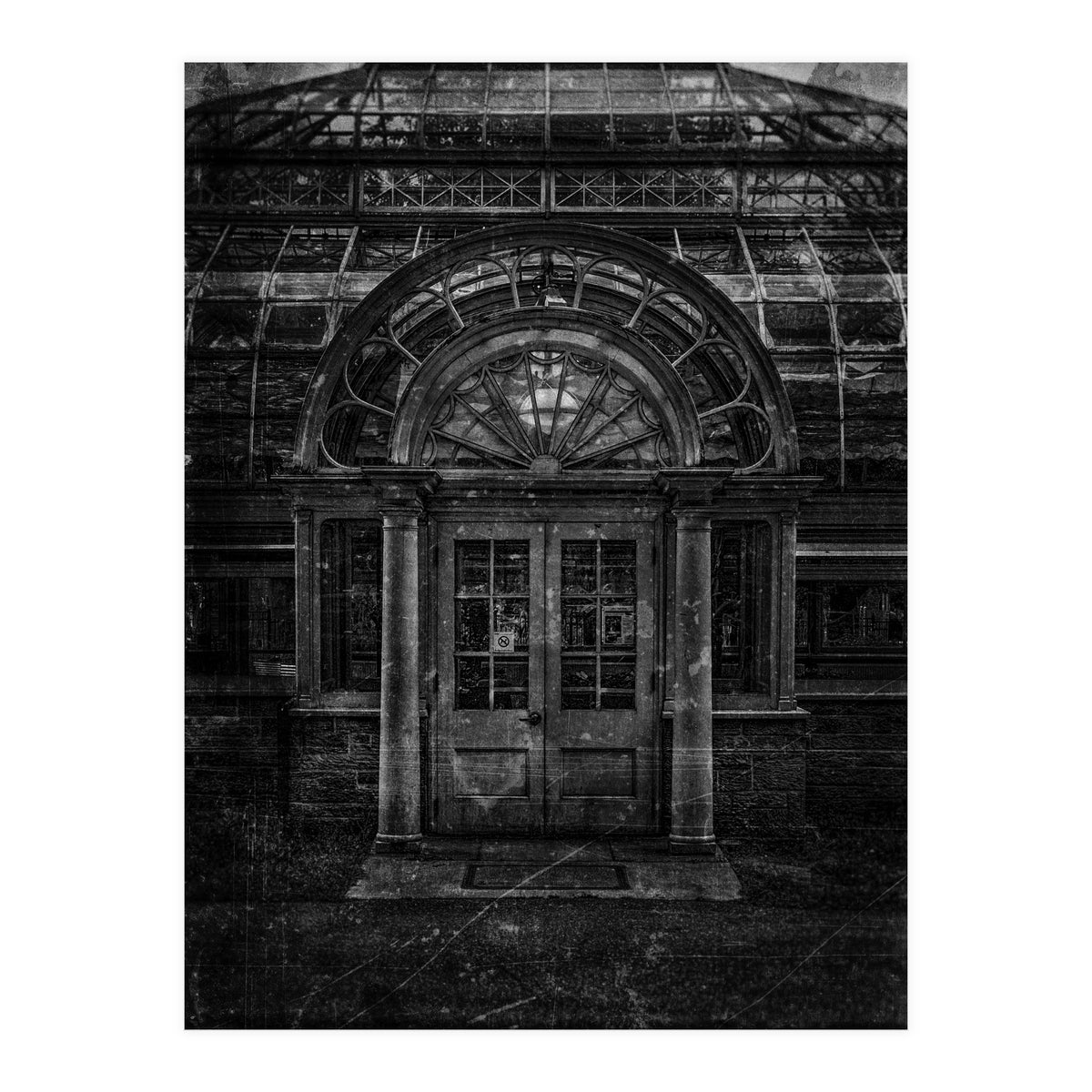 Allan Gardens Conservatory Palm House No 5 Old Film Version (Print Only)