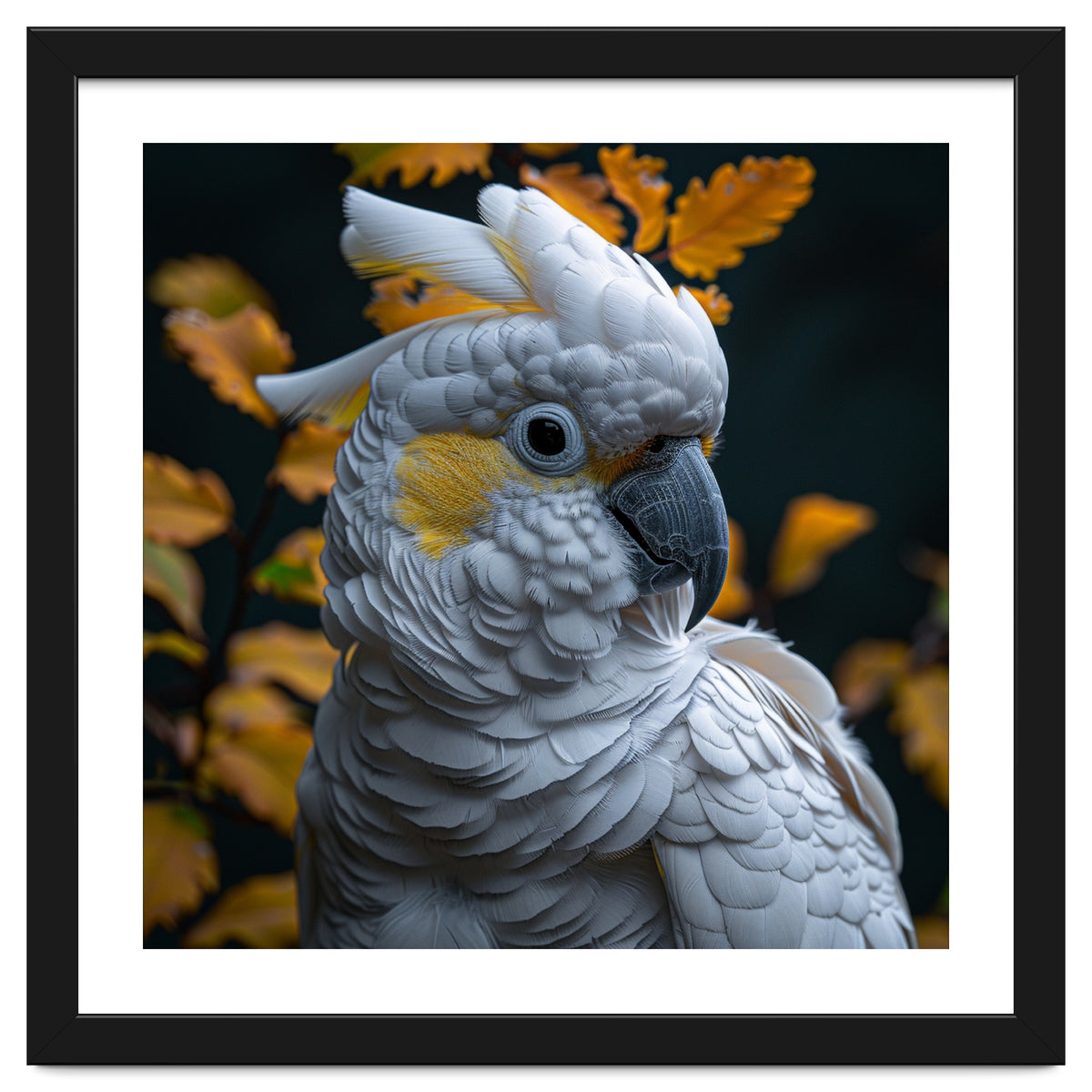 Yellow Crested Cockatoo Portrait Autumn Leaves Dark