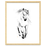 Runninh Ghorse In Water thumbnail