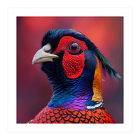 Close Up Pheasant Bird Head Detailed Feathers (Print Only)