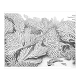 Hidden in plain sight (Print Only) thumbnail