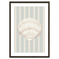 Sea shell