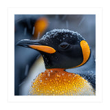 King Penguin Close Up In Snowfall (Print Only) thumbnail