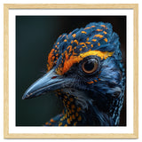 Close Up Of A Colorful Bird Head And Eye thumbnail