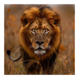 Majestic Lion King Of The Savannah In Dry Grass (Print Only) thumbnail