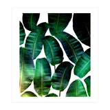 Cosmic Banana Leaves (Print Only) thumbnail