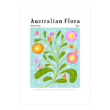 Australian Flora: Straw Flower (Print Only) thumbnail