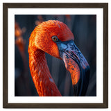 Close Up Flamingo Head Vibrant Orange Plumage thumbnail