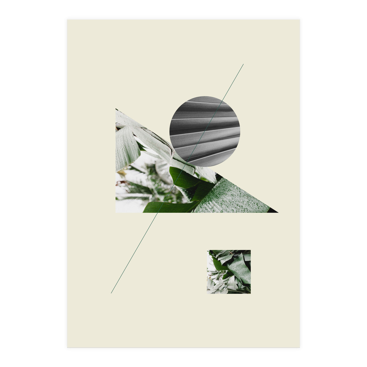 Tropical Geometry No 2 (Print Only)