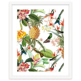 Hummingbirds in tropical Jungle thumbnail