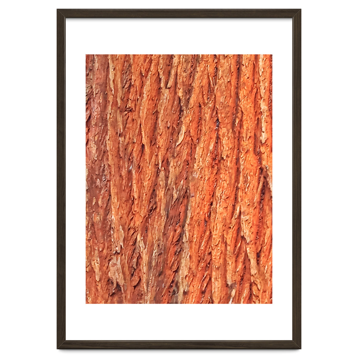 Tree Bark