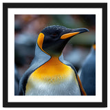 King Penguin With Water Droplets On Its Head thumbnail