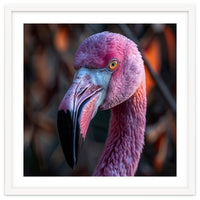 Close Up Of A Pink Flamingo Bird Face