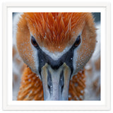 Close Up Of A Pelican's Beak With Water Droplets thumbnail