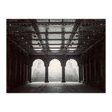 Levitation (Print Only) thumbnail
