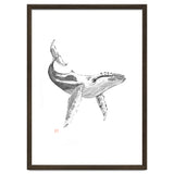 Whale thumbnail