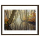 Bent trees in autumn thumbnail
