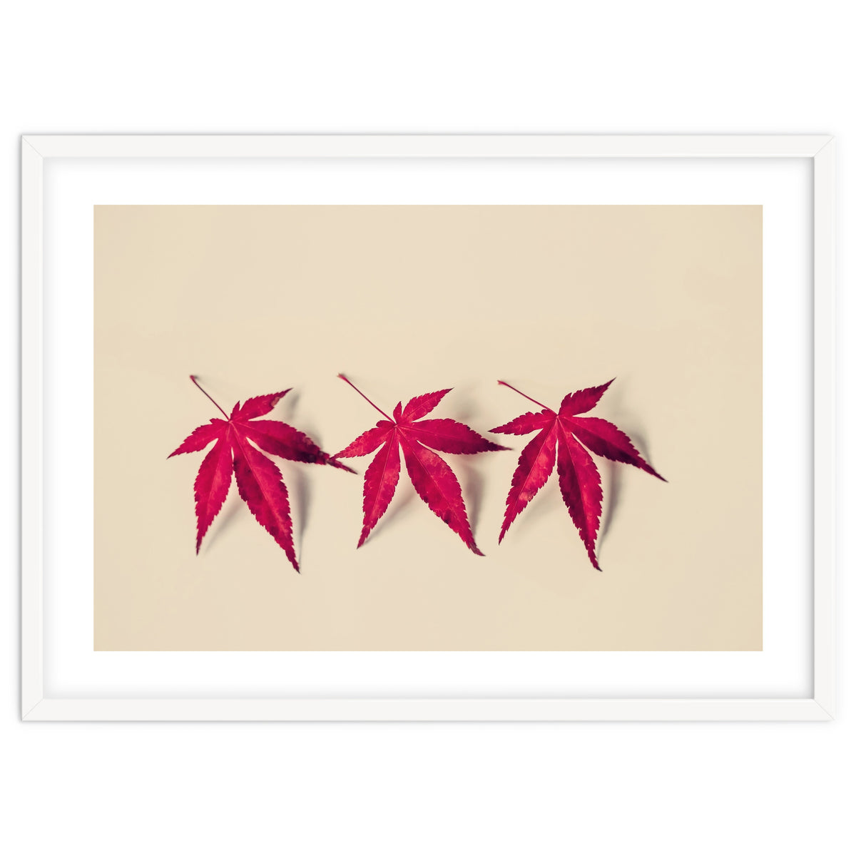 Dancing Leaves