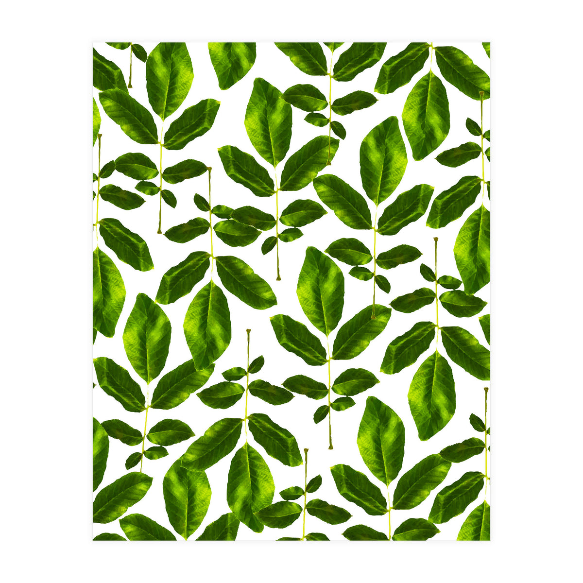 Natural Cure #society6 #decor #buyart (Print Only)