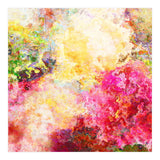 Blossom (Print Only) thumbnail