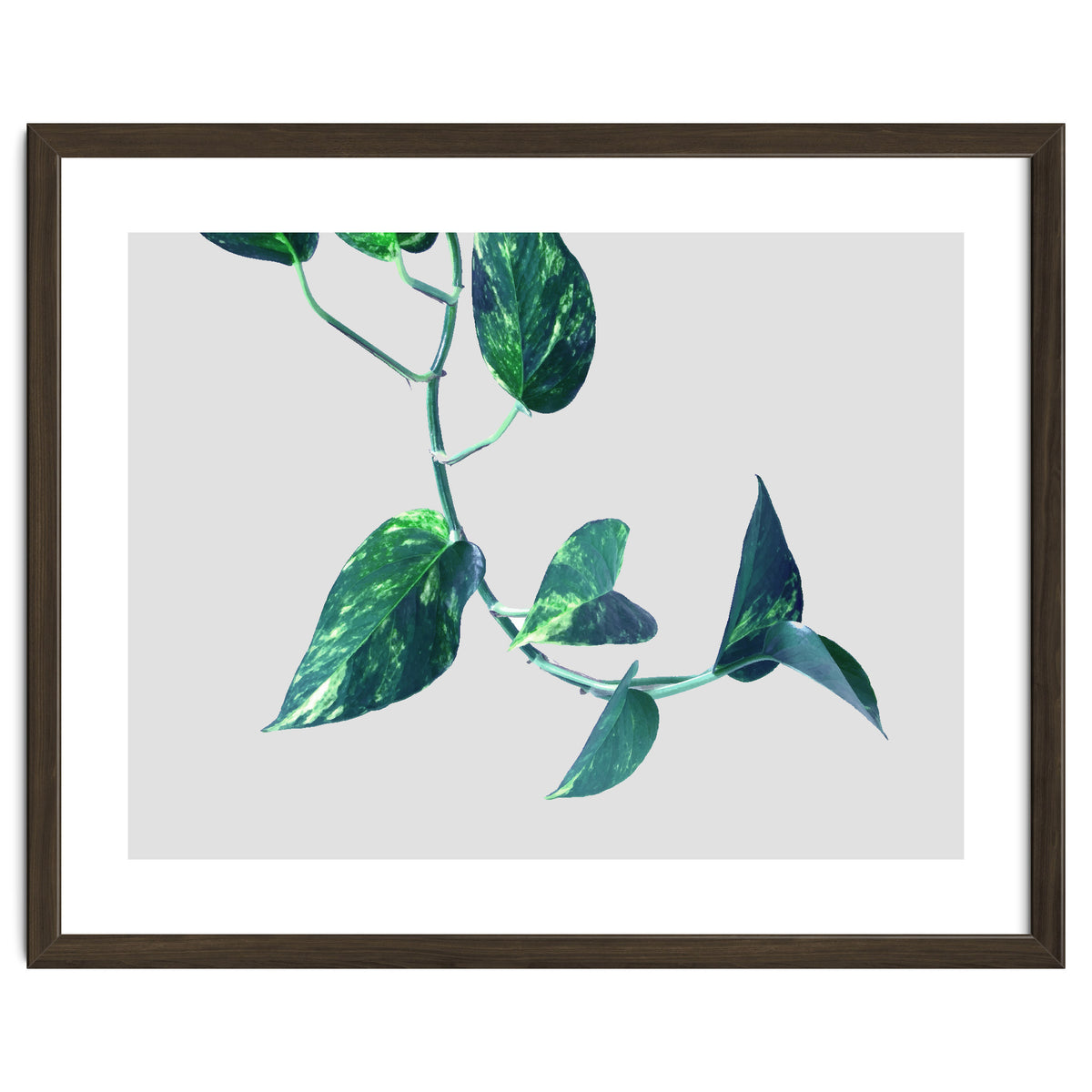 Projection & Emotion