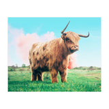 Highland Cow #society6 #decor #buyart (Print Only) thumbnail