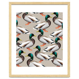 Mallards thumbnail