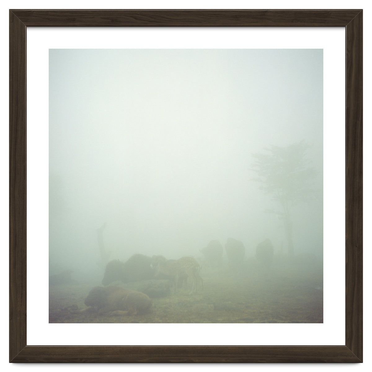 Silence of breath - 03