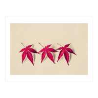 Dancing Leaves (Print Only)